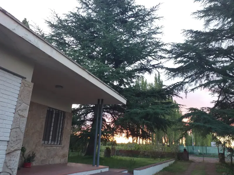 Vista exterior de Cabañas Los Cedros